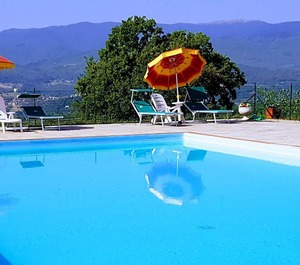 Farmhouse Jacuzzi Playground Garden 