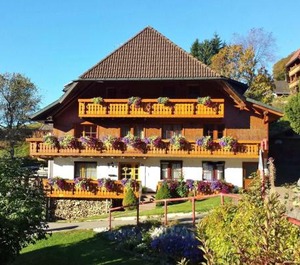 Bühlhof Todtnauberg Wohnung