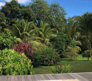 La Case Dentelle Diamant 