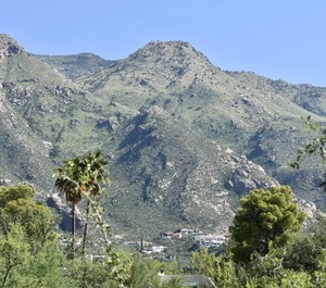 Foothills 