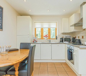 Accommodation Holcombe Rogus 