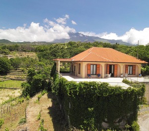 Vigne Countryside Etna Volcano 