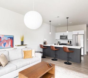Flexhome East Side Brady St Lounge