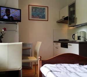 Holiday Apt Karlovy 