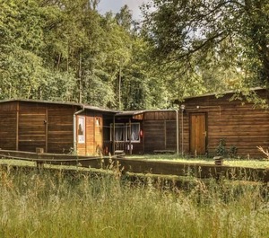 Holiday Harzgerode Persons 