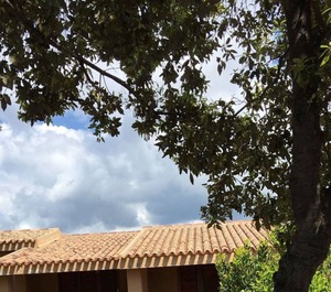 Il Boschetto Dei Corbezzoli Villetta 