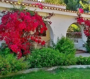 Ferienhaus Calasetta Für Personen 