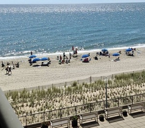 Henlopen Beach 