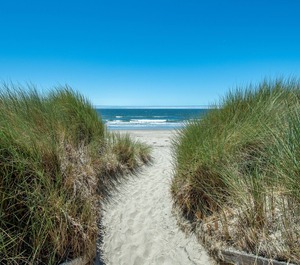Shorebird Watsonville 