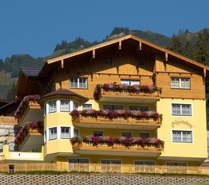 Alpenstern 