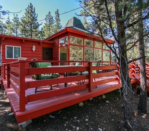 Redwood Elegance