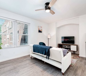 Stylish Luxe Cozysuites 