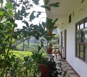 Holidays Chithirapuram Munnar 
