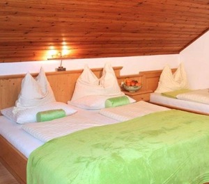 Farm Kasleitner Flowers 