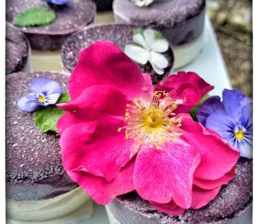 Sanilhac House | ÔRacines du Calme Maison Hélianthy