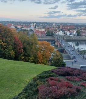 Kaunas Apartment | Čepinskio