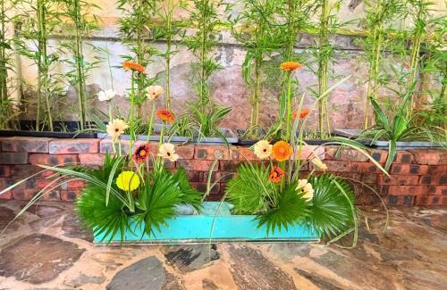 Ba Dinh Bed & Breakfast | Đòng Garden