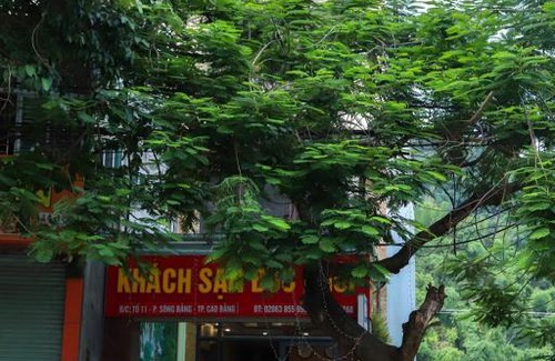 Cao Bang Hotel | Đức Khôi Hotel