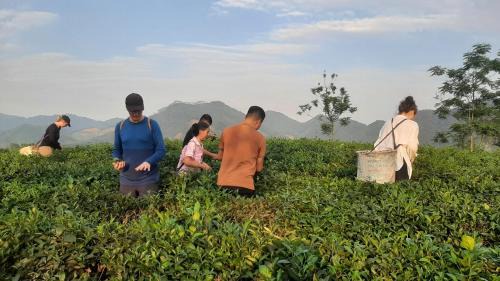 Ngoi Tu House | Đức Tới Farmstay