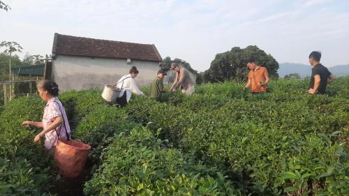 Ngoi Tu House | Đức Tới Farmstay