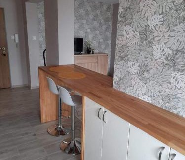 Bialystok Apartment | Łąkowa 3