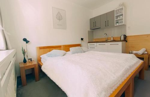 Tatranska Strba Apartment | Štúdio Srnček - Tatranská Štrba - wellness, bazén