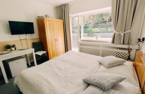 Tatranska Strba Apartment | Štúdio Srnček - Tatranská Štrba - wellness, bazén