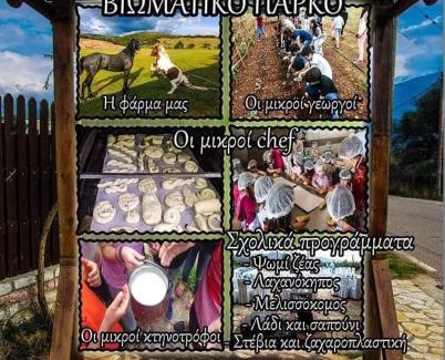 Erymanthos Municipality Other | Κτήμα ΓΟΥΡΔΟΎΠΗ Georgιο