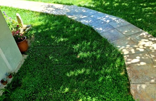 Trikala House | Το παραδοσιακό θέρετρο, Απόδραση στα Τρίκαλα