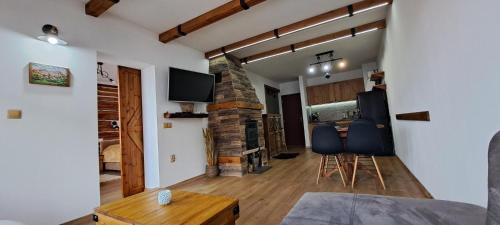 Shiligarnika Apartment | апартамент Гигови