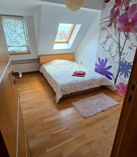 Plovdiv Center Apartment | Арт мезонет под тепето