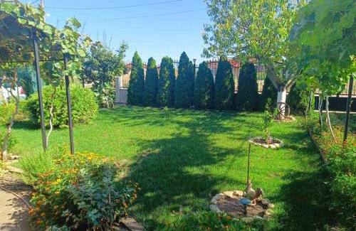 Kavarna House | Атес