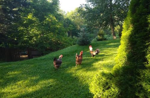 Razlog Villa | Вила Свети Георги