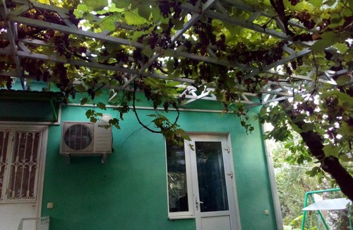Agoy House | Вино кино