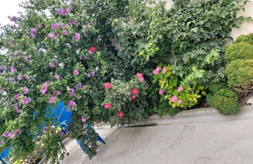 Anapa House | Гостевой дом Анна