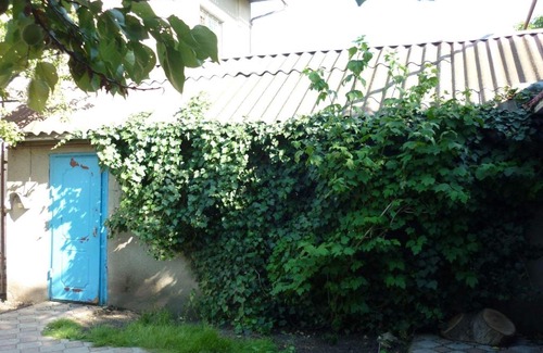 Odessa House | Дом для семьи