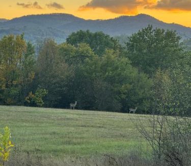 Yakovtsi Villa | Дядо Станевата къща I Къща за гости Боеви I