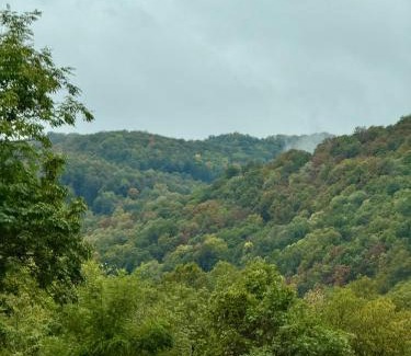 Yakovtsi Villa | Дядо Станевата къща I Къща за гости Боеви I