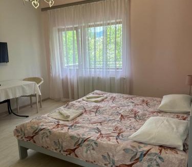 Svalyava Hotel | ЕЛІТ