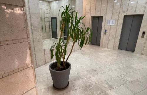 Arcadia Apartment | Квартира в Аркадии - Apartment in Arcadia