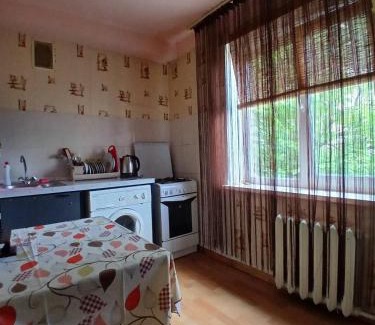 Shevchenkivs'kyi District Apartment | Квартира на Дегтярёвской