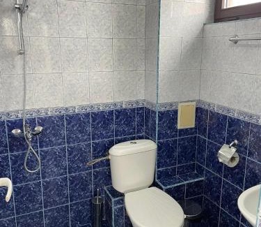 Dobrinishte House | Къща за гости Александра