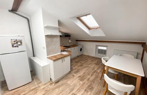 Kosuv Stary Apartment | Мансарда & Апартаменти в центрі
