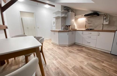 Kosuv Stary Apartment | Мансарда & Апартаменти в центрі