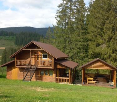 Vorokhta Cabin | На горі