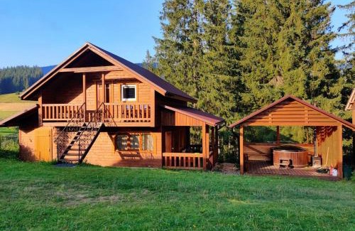 Vorokhta Cabin | На горі