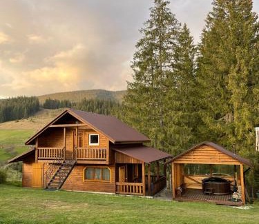Vorokhta Cabin | На горі