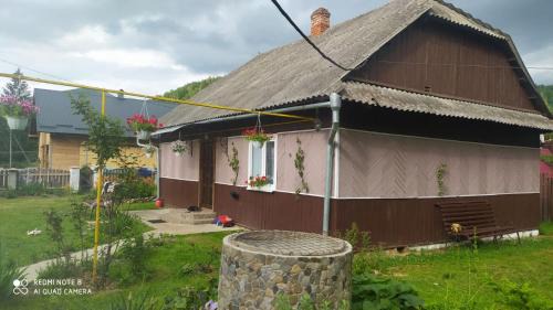 Manyava Cabin | Садиба У Надії