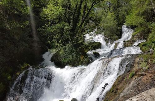 Tsqaltubo House | Сибиряк Sibiryak