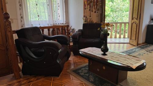 Tsqaltubo House | Сибиряк Sibiryak